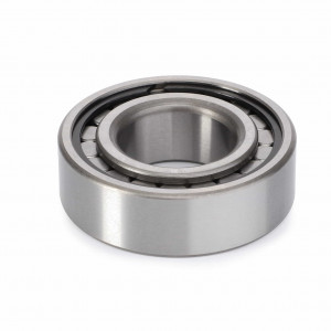 Cylindrical Radial Roller Bearing #191250M1