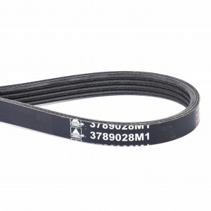 Serpentine Belt, PK4 Profile #3789028M1 Serpentine Belt, PK4 Profile #3789028M1
