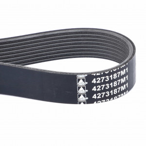 Serpentine Belt, PK8 Profile #4273187M1