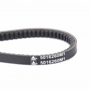 Клиновой ремень, V-Belt #5016260M1
