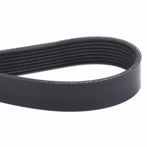 Serpentine Belt, PK8 Profile #515758D1