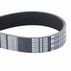 Serpentine Belt, PK8 Profile #555243D1