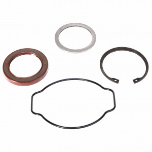 Комплект уплотнения, Seal Kit #572005D1