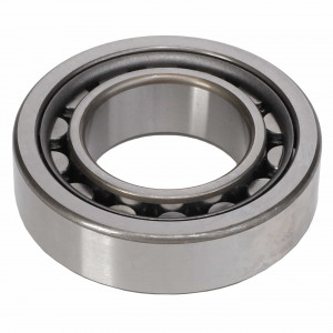 Cylindrical Radial Roller Bearing #843383M1