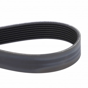 Serpentine Belt, PK8 Profile #ACP0309760 Serpentine Belt, PK8 Profile #ACP0309760