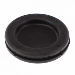 Plug #ACW0398170 Plug #ACW0398170