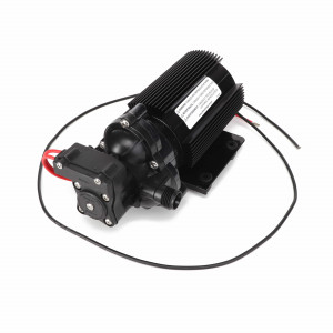 Pentair Shurflo 2088 12V Diaphragm Pump #AG715445