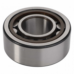 Cylindrical Radial Roller Bearing #D41636700