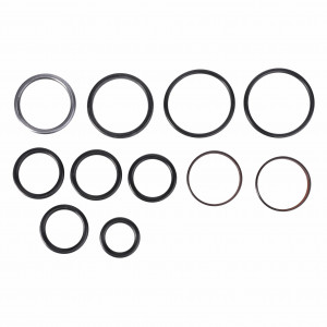 Seal Kit, Control Valve #F246860100030
