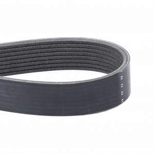 Serpentine Belt, PK8 Profile #F954200040020 Serpentine Belt, PK8 Profile #F954200040020