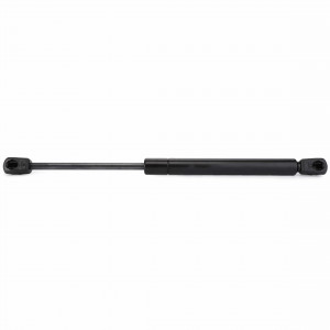 Gas Strut, Chassis #H916501022110