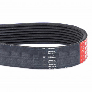 Serpentine Belt, PK8 Profile #V685081290 Serpentine Belt, PK8 Profile #V685081290