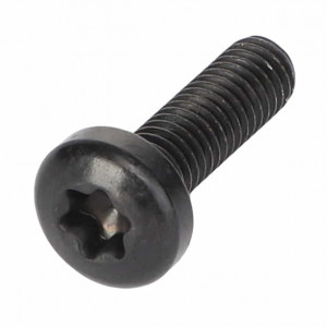 Винт с овальной головкой, Oval Head Screw #X495922610000
