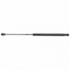 Gas Strut, Door #X800420491000