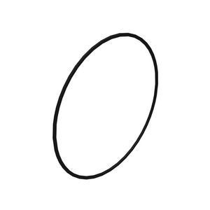 Уплотнительное кольцо | 246.38 mm Inner Diameter Ring Seal #8D-8795 (8D8795)