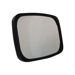 Зеркало в сборе | Mirror Assembly #264-1527 (2641527)