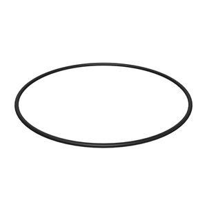 Уплотнительное кольцо | O-Ring #494-0200 (4940200)