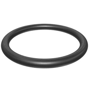 Уплотнительное кольцо | 5.33 x 50.17 mm 75A FKM O-Ring #113-5304 (1135304)