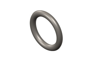 O Ring Seal #4010519