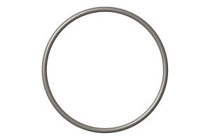 O Ring Seal #4019975