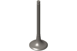 Впускной клапан, Intake Valve #4982907