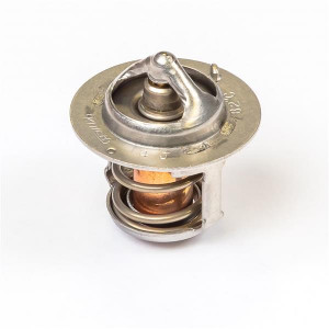 Термостат, Thermostat #145206310
