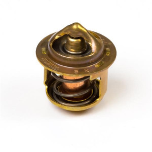 Термостат, Thermostat #145206320