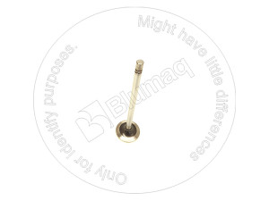 Valve Inlet, Valve Inlet Blumag for CAT #108-5910 Valve Inlet, Valve Inlet Blumag for CAT #108-5910