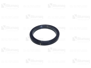 Блок уплотнения, Seal GP Blumag for CAT #119-2921