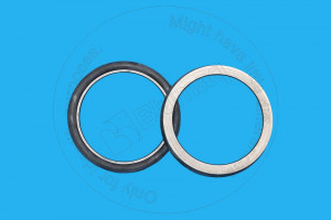Блок уплотнения, Seal GP Blumag for CAT #125-3677