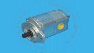 Pump GP, Pump GP Blumag for CAT #159-7181