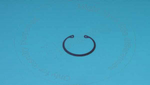 Кольцо, Ring Blumag for CAT #1L-8490