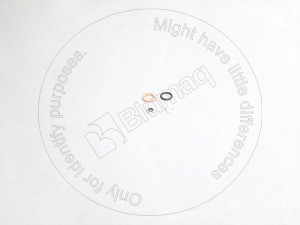 Комплект прокладок, Gasket Kit - Blumag for CAT #202-1242 Комплект прокладок, Gasket Kit - Blumag for CAT #202-1242