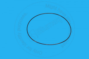 Уплотнительное кольцо, Seal - Ring Blumag for CAT #209-4295
