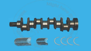 Crankshaft G, Crankshaft G Blumag for CAT #225-8841 Crankshaft G, Crankshaft G Blumag for CAT #225-8841