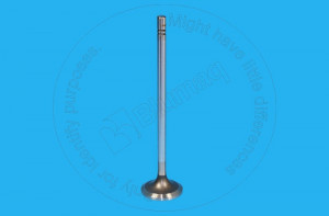 Клапан впускной, Valve - Intake Blumag for CAT #236-5605 Клапан впускной, Valve - Intake Blumag for CAT #236-5605