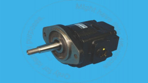 Блок электродвигателя gr, 26.00Cc Displacement Gear Motor Blumag for CAT #246-6152