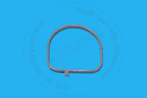 Прокладка HOU, Water Regulator Gasket Blumag for CAT #281-8744