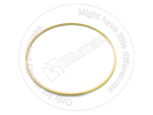 Кольцо, Ring Blumag for CAT #2D-2566