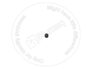 Установочный винт, Screw Hex Socket Blumag for CAT #2F-5326
