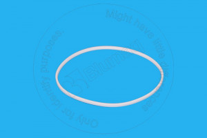 Кольцевое уплотнение, 75.5 mm Internal Diameter Seal Ring Blumag for CAT #2P-4534