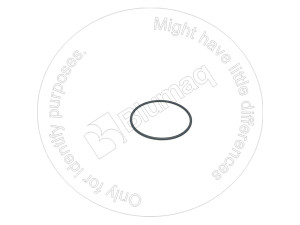 Уплотнительное кольцо, Seal - O - Ring Blumag for CAT #332-7549