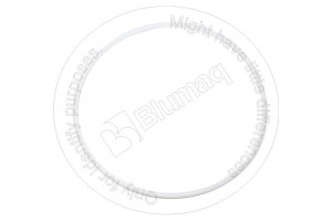 Уплотнительное кольцо, 211.95 mm Internal Diameter External Ring Seal Blumag for CAT #3W-4404