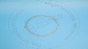 Пластина, Plate Blumag for CAT #5I-8629
