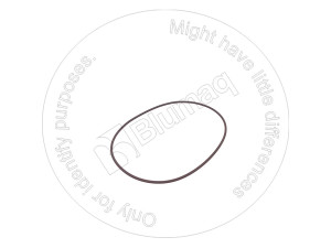 Уплотнительное кольцо, 171.04 mm Inner Diameter O - Ring Seal Blumag for CAT #5P-8428