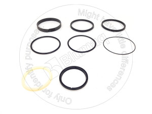 Комплект уплотнений, Kit Seal Blumag for CAT #5U-5412