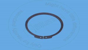 Кольцо, Ring Blumag for CAT #5W-7402