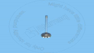 Клапан, Valve Blumag for CAT #6I-1196