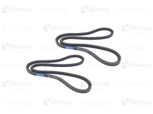 Клиновые зубчатые ремни (набор из 2 шт.), Cogged V - Belt (set Of 2) Blumag for CAT #6L-8161