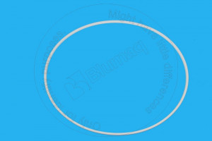 Кольцо, 244.91 mm ID Plastic Internal Seal Ring Blumag for CAT #6T-2037